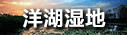 洋湖濕地