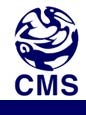 cms.jpg （ 3179字節）